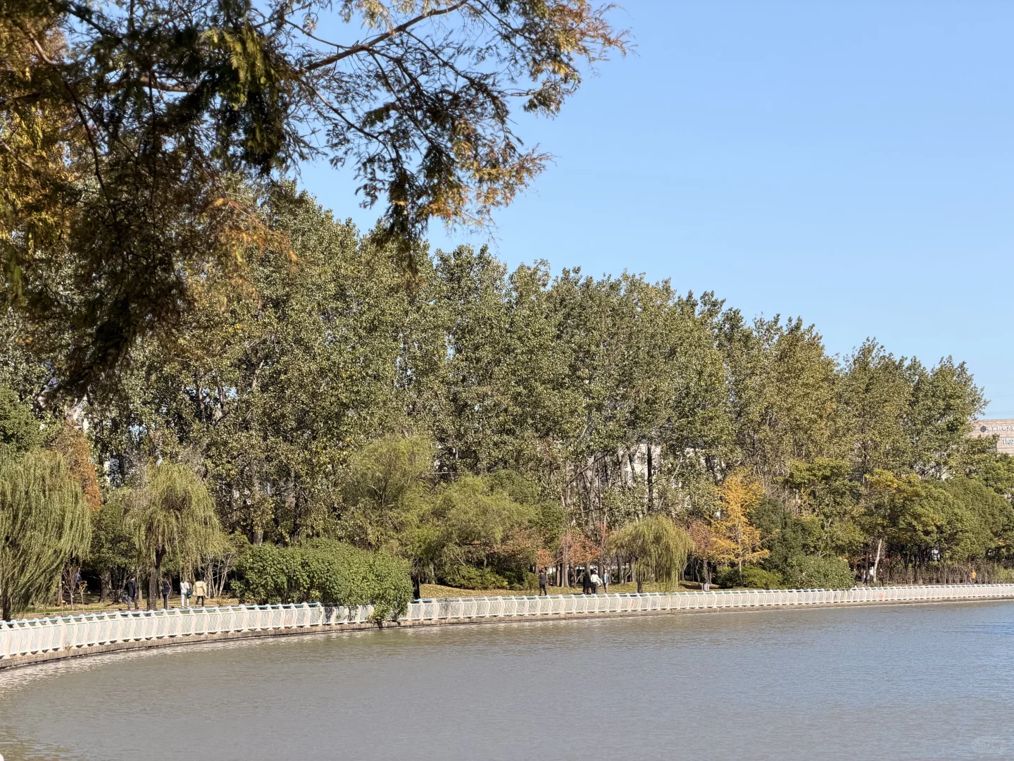 周四疯语：上班像秋游