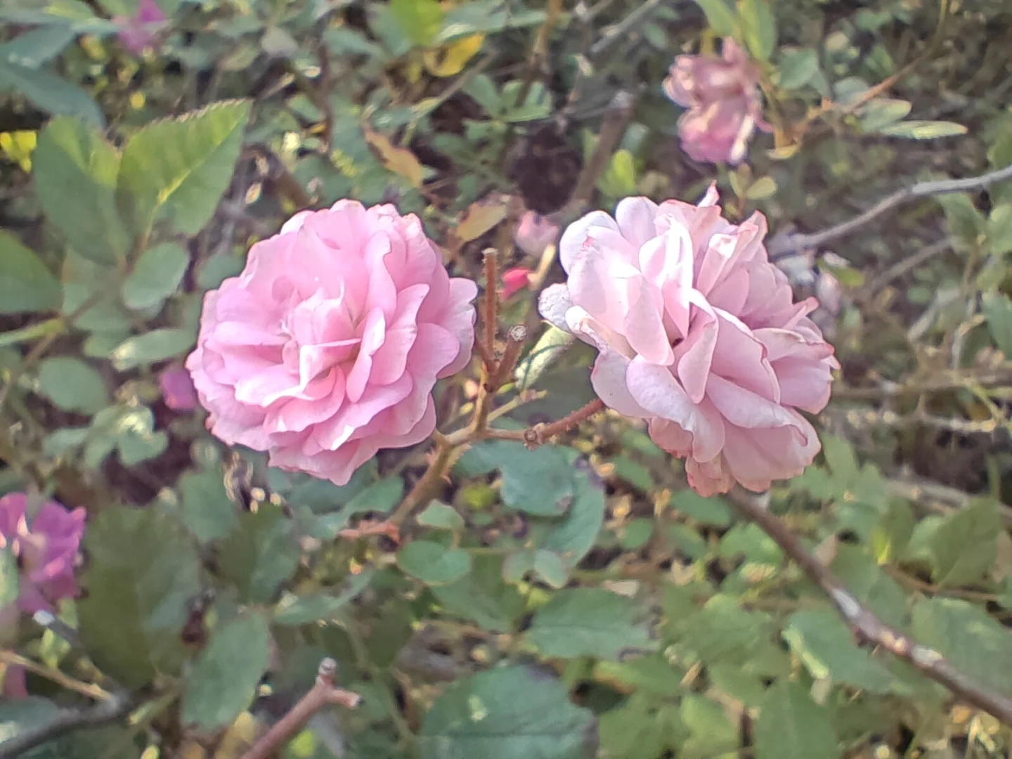 《写给三十岁的自己》