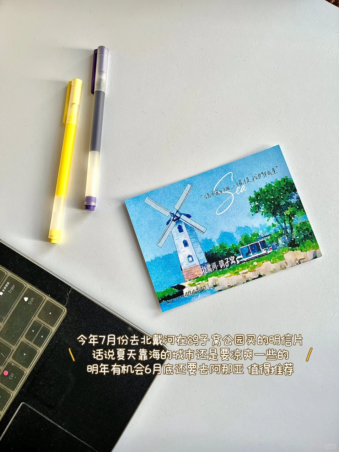 🌟素人Plog前期互粉有用吗？｜我的血泪经验