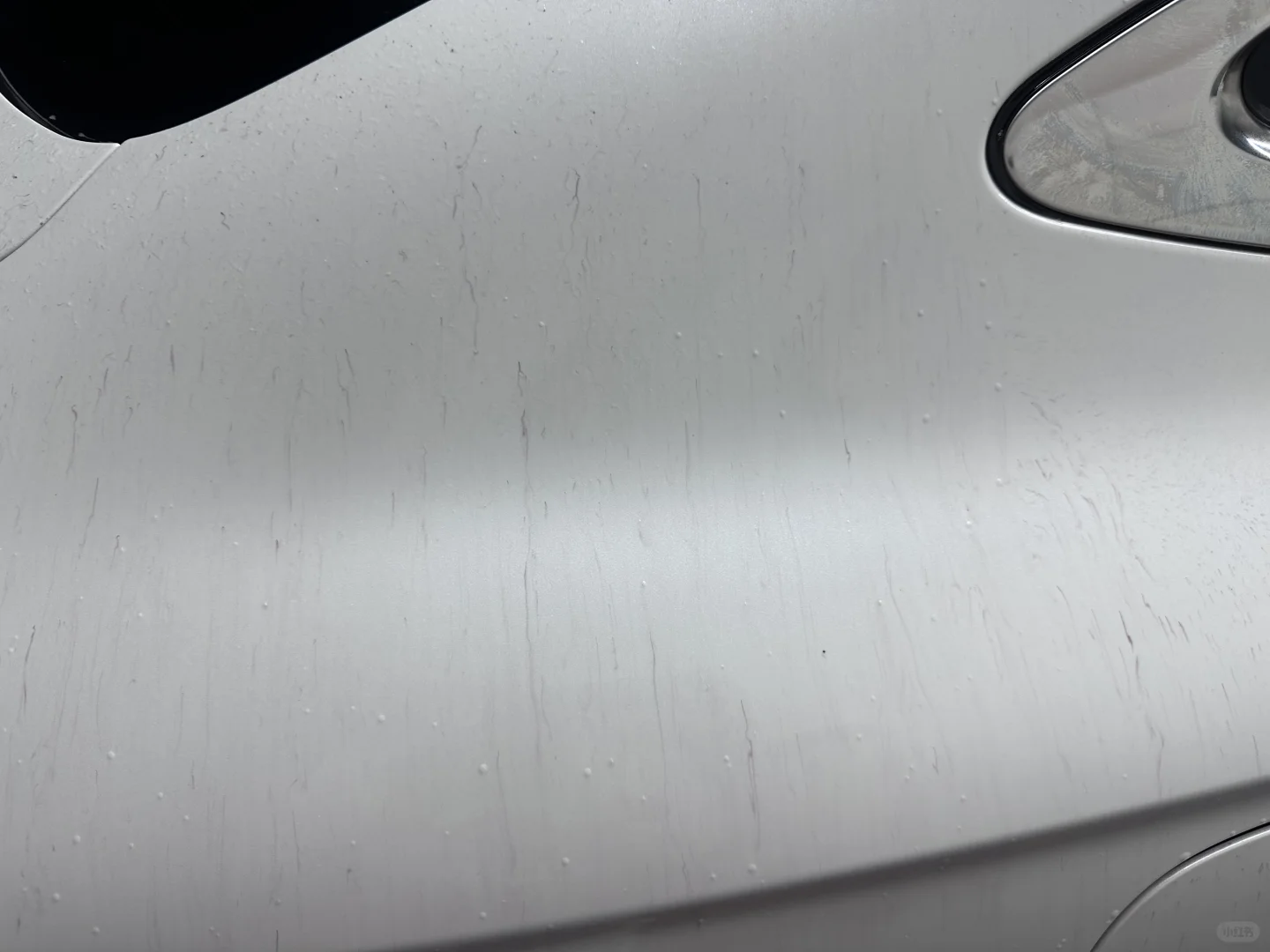 天塌了！说粘上了铁粉，谁懂啊！！