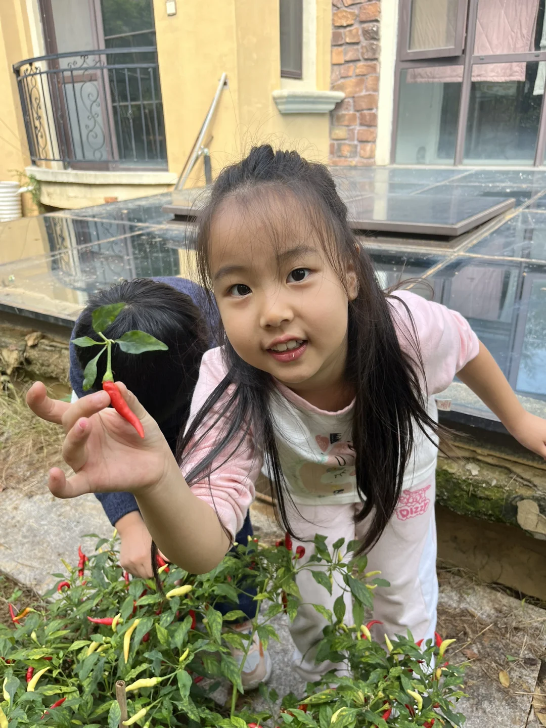 你好，认识一下 🙋‍♀️我家的小美女吧