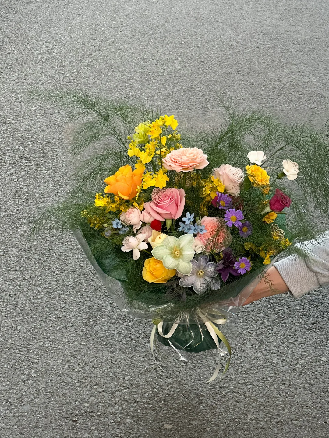 “我见青山多妩媚🫧🕊️🌿🤍”