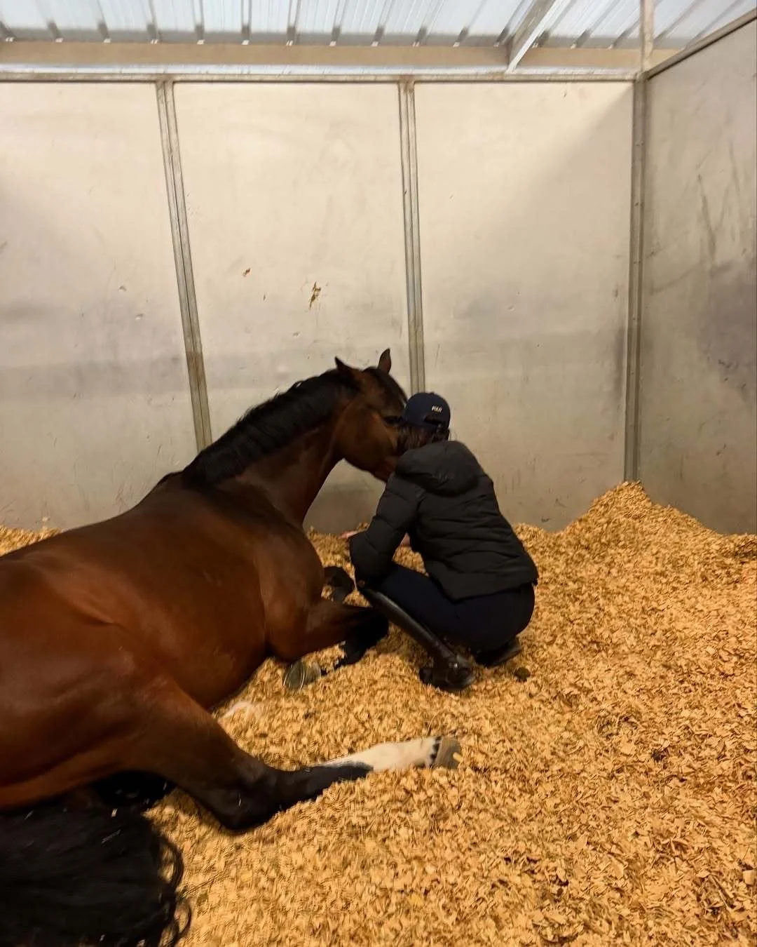 Kendall Jenner｜今日更新: happiness