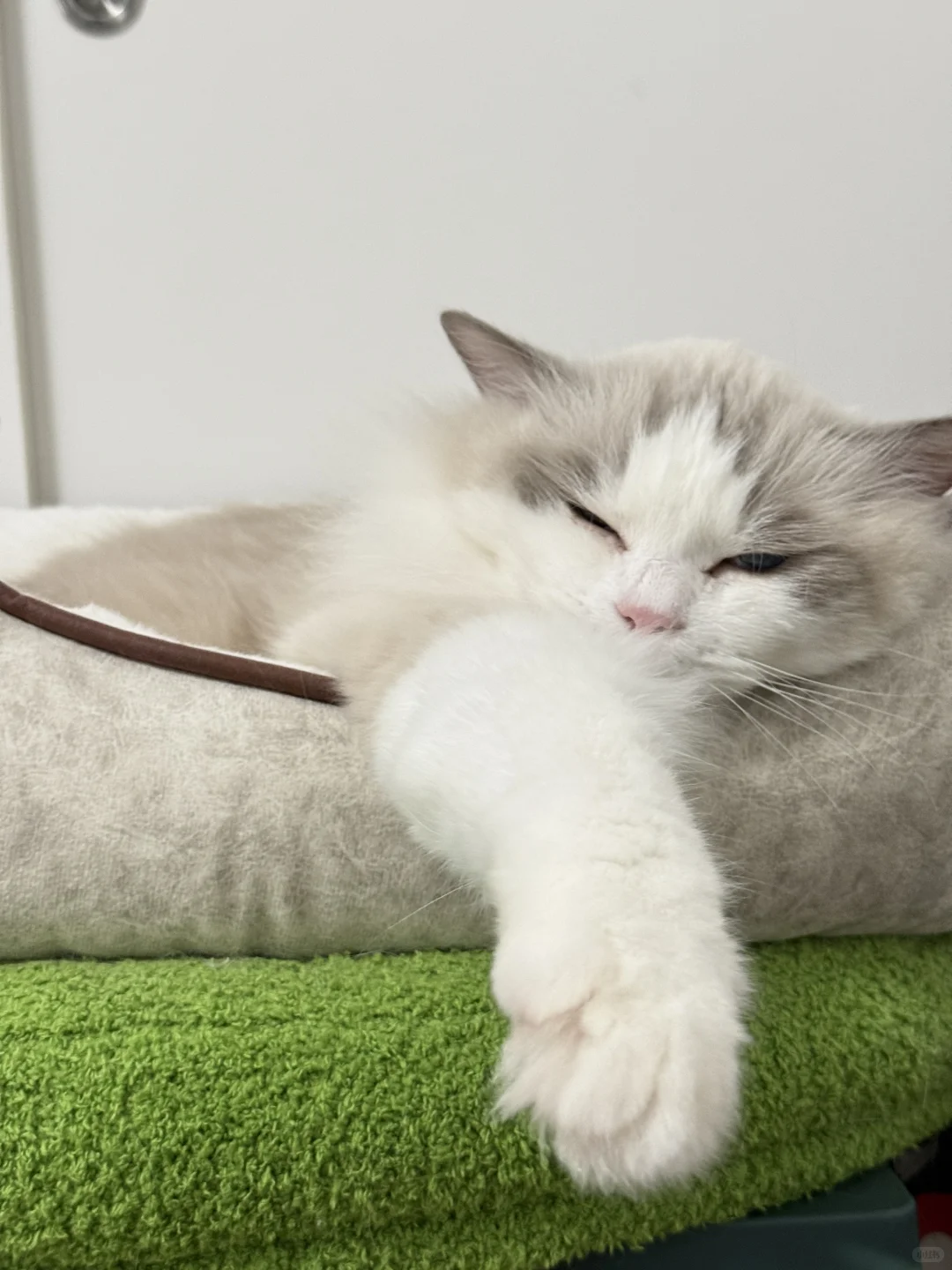 请欣赏宝的美足