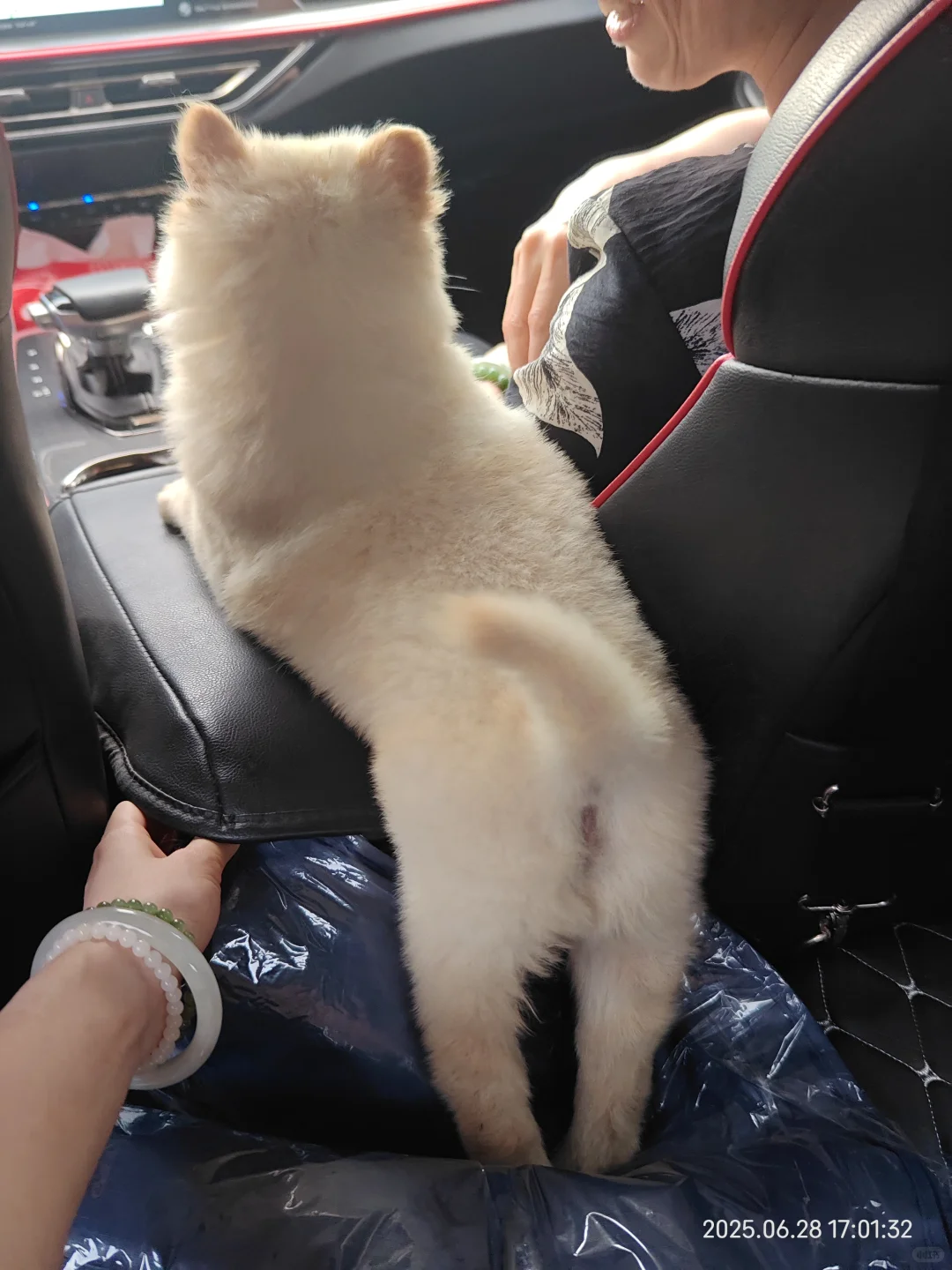 翻到相册里到家第一天的小鼻嘎多多