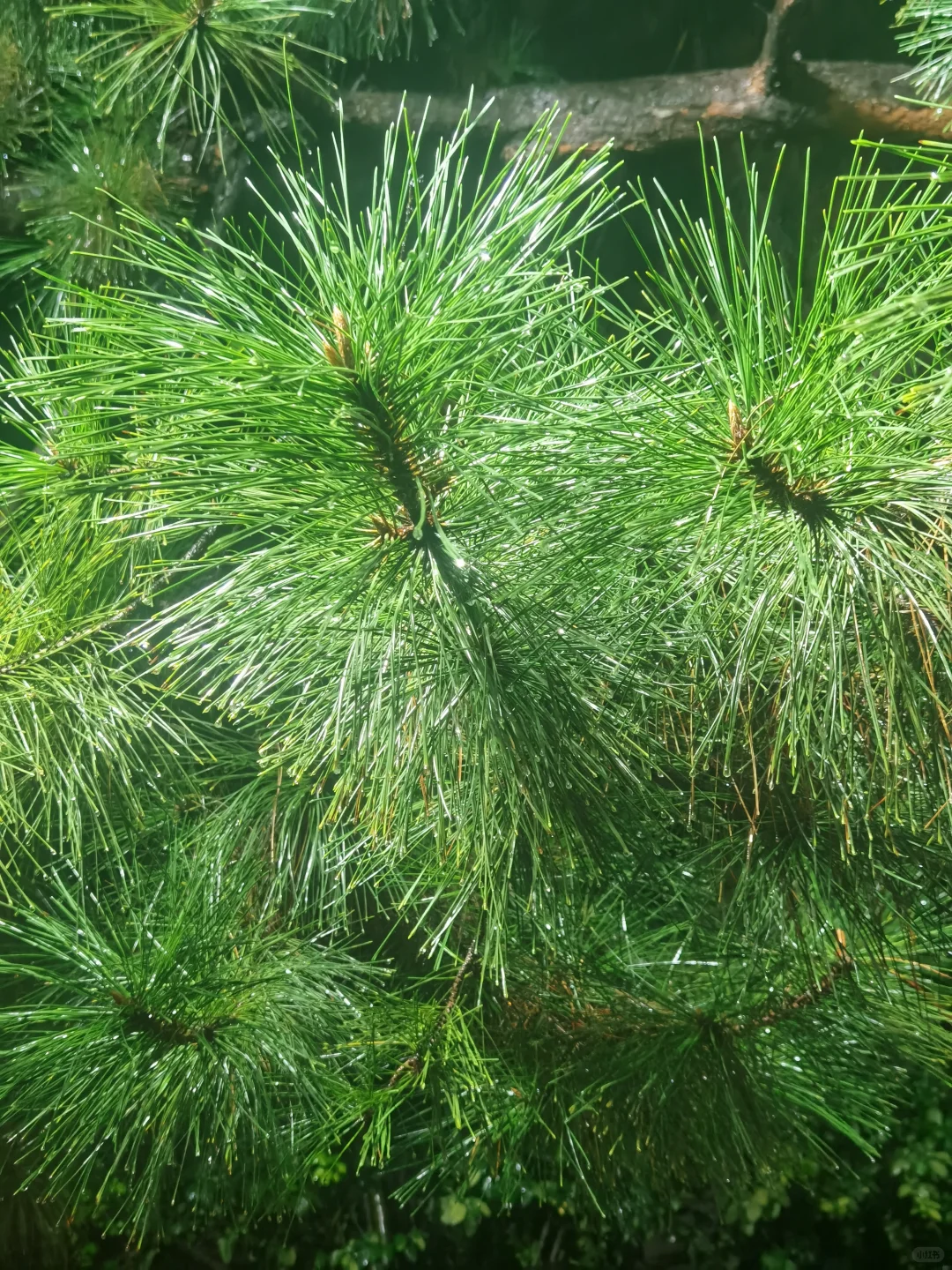 人活着就是为了这样一些鲜活的瞬间