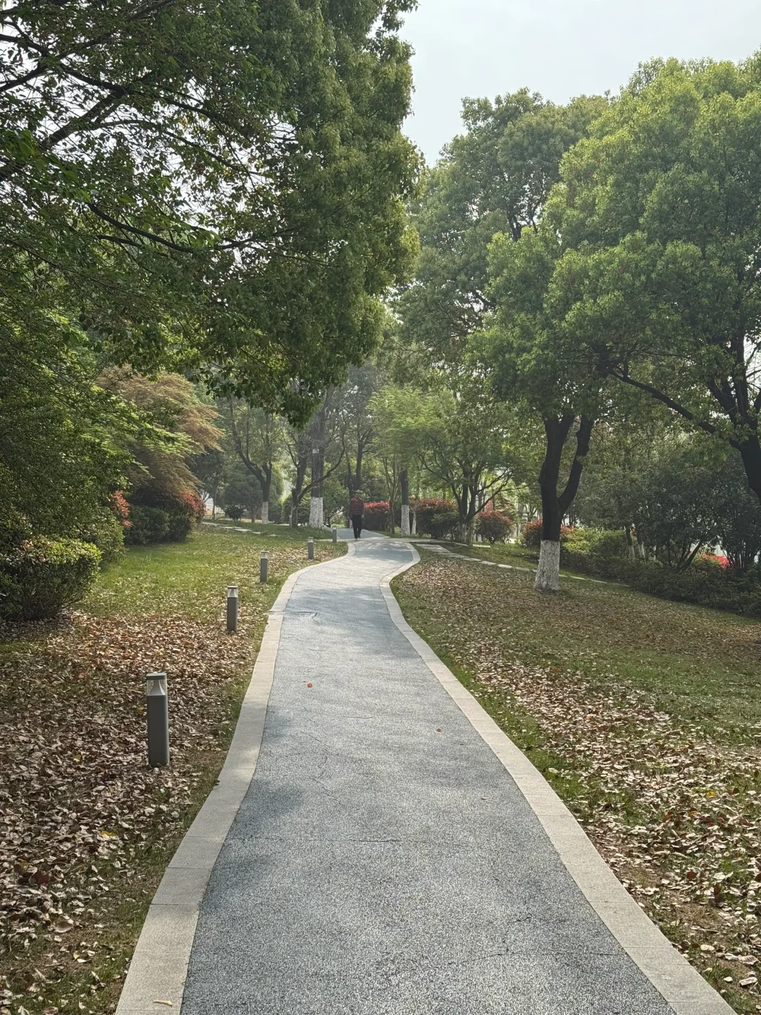 晨跑日记 | 当跑步从坚持变成肌肉记忆