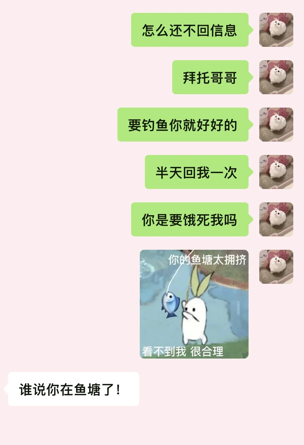 有梗女人追crush搞暧昧什么样…