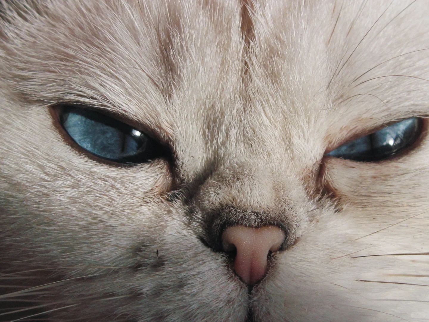 这ccd拍的也太美了吧