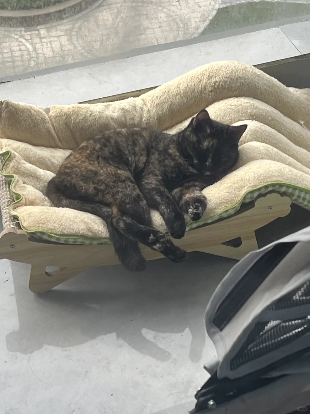 这猫怎么这么适合睡觉啊