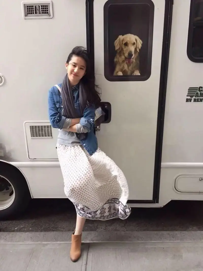 刘亦菲考古系列