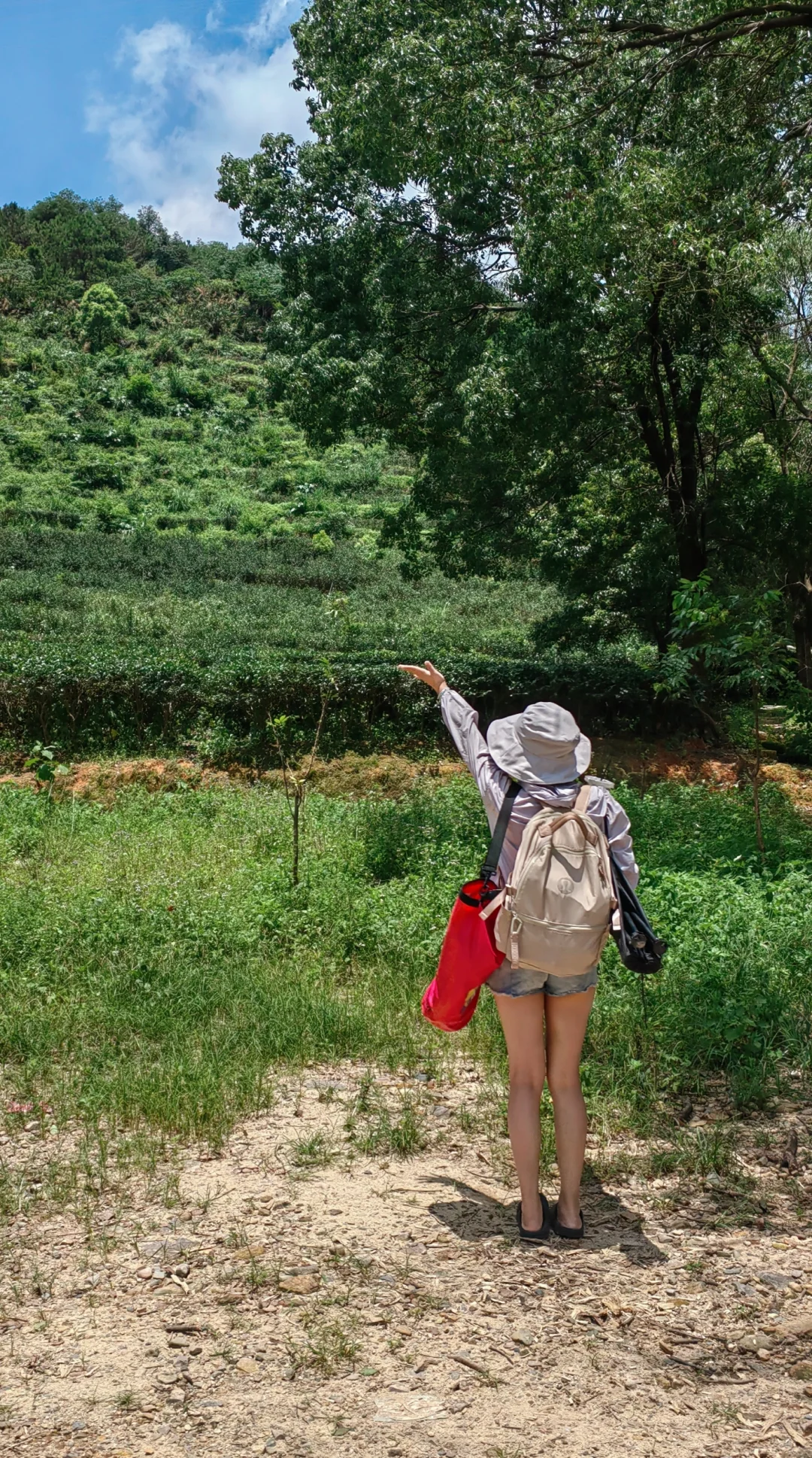 记录打卡清远一处水潭秘境（原创图片）