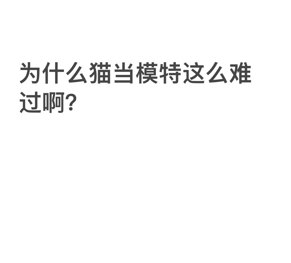 猫当模特今天提交了七次都不过😭为啥啊