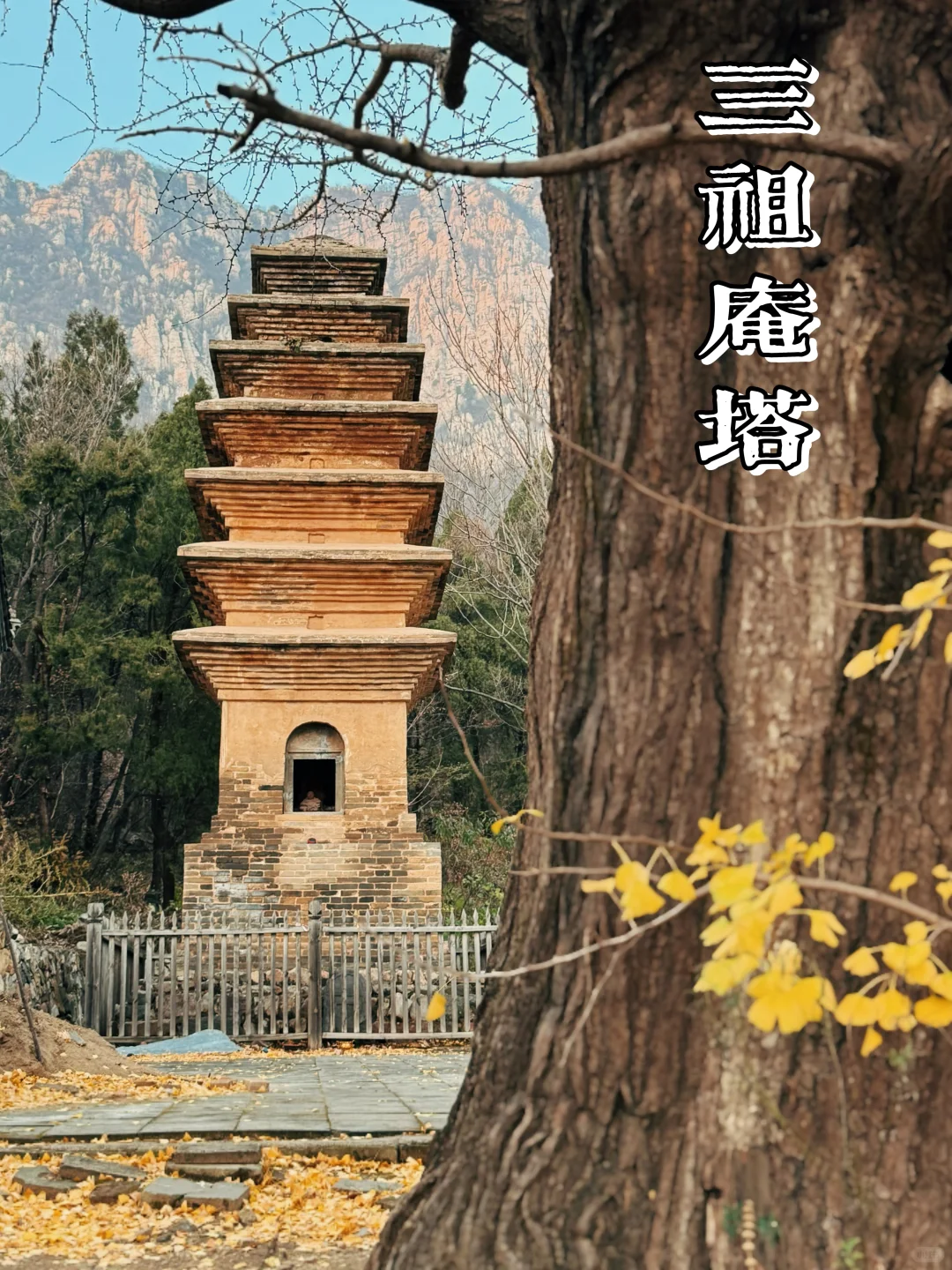 嵩山最小众的国保三祖庵，今日秋色正撩人