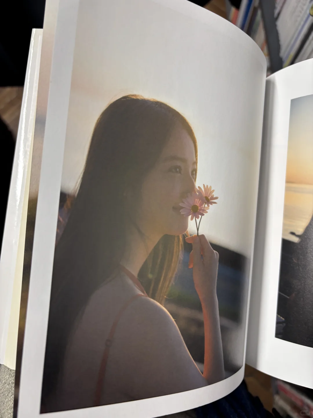 日本淘货之 写真集