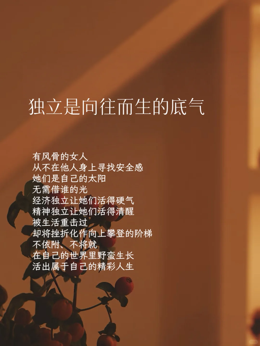 智慧女性该有的样子