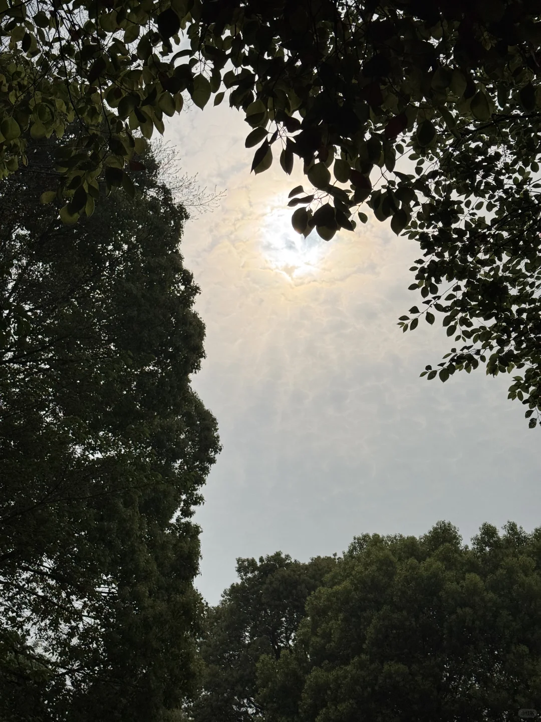 晨跑日记 | 当跑步从坚持变成肌肉记忆