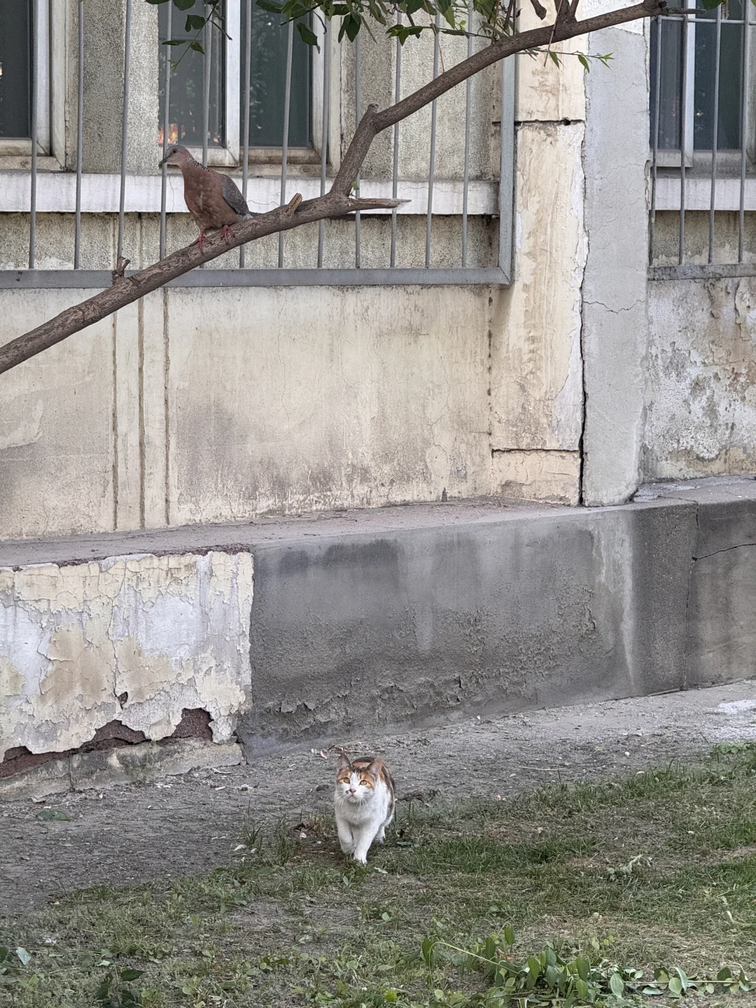 美照征集中！！！