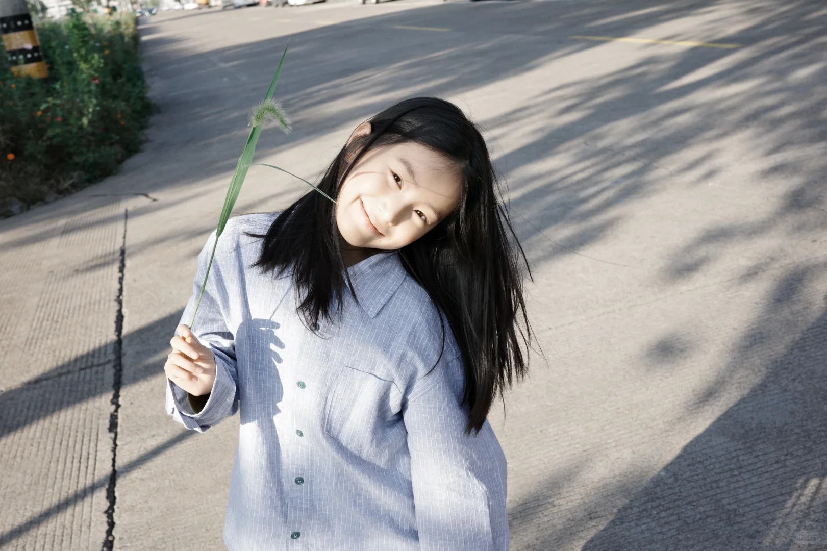 风轻轻吹，阳光正好～～～