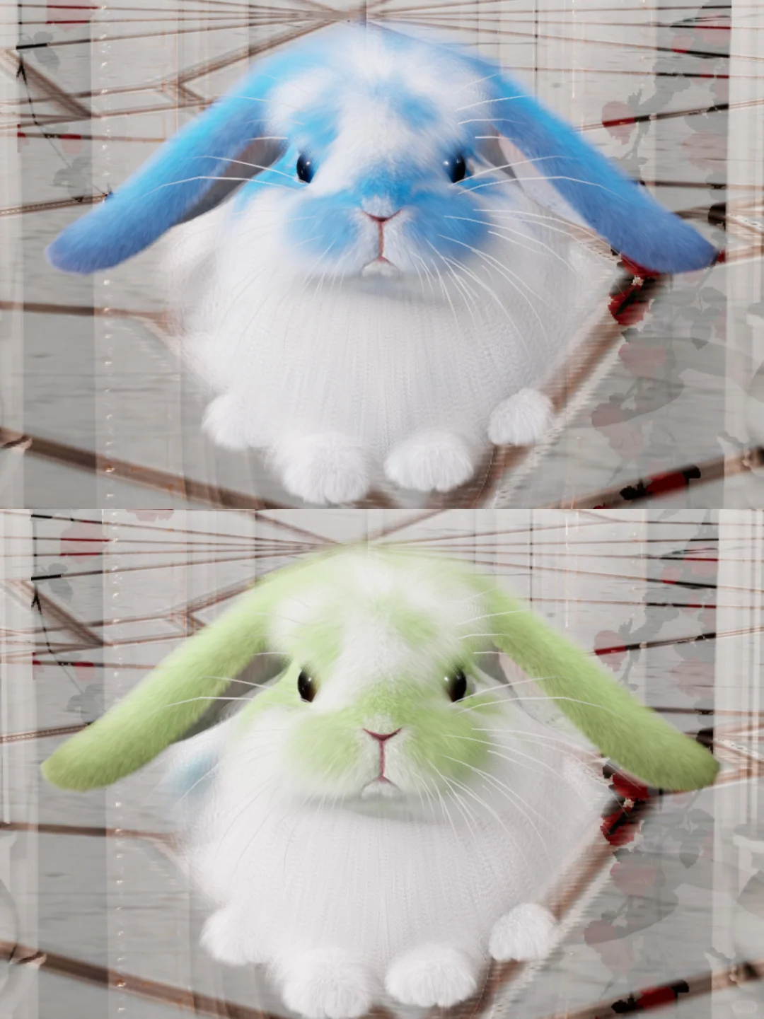 两只阿尼亚弟弟约亲