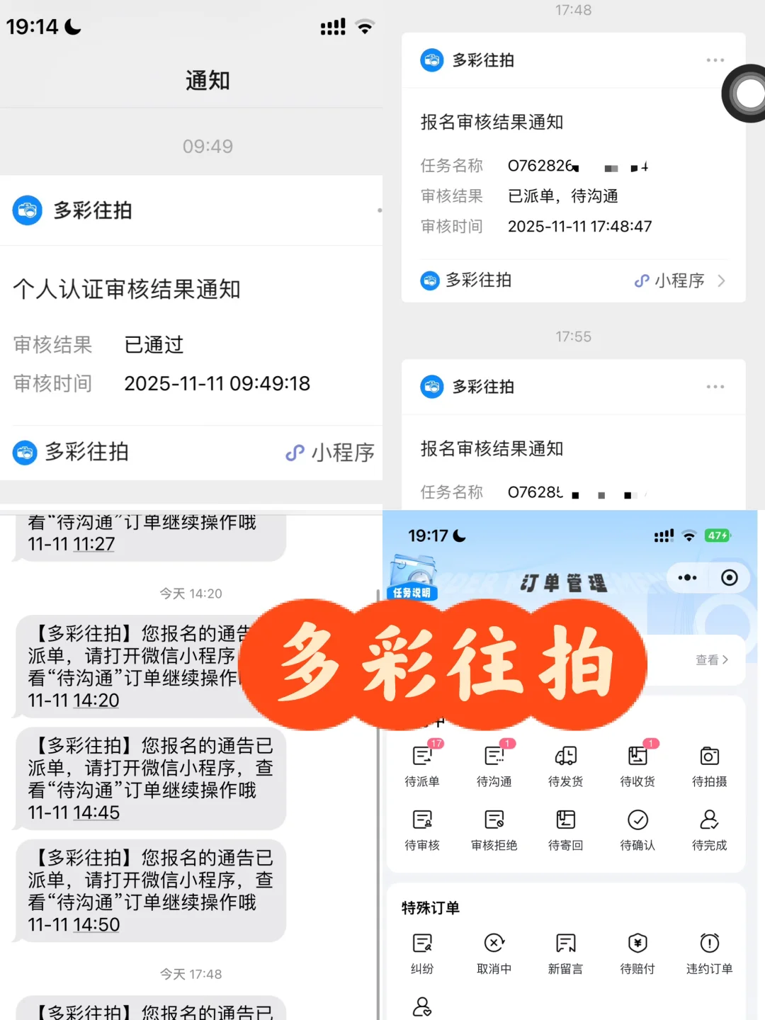猫当模特今天提交了七次都不过😭为啥啊
