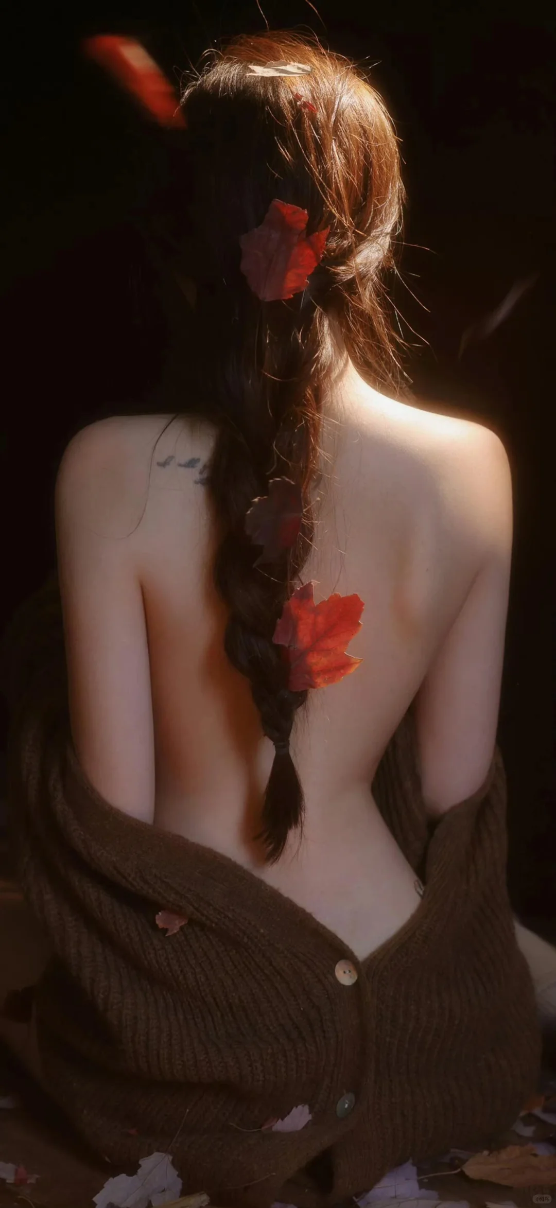 氛围感壁纸、真的好美呀！