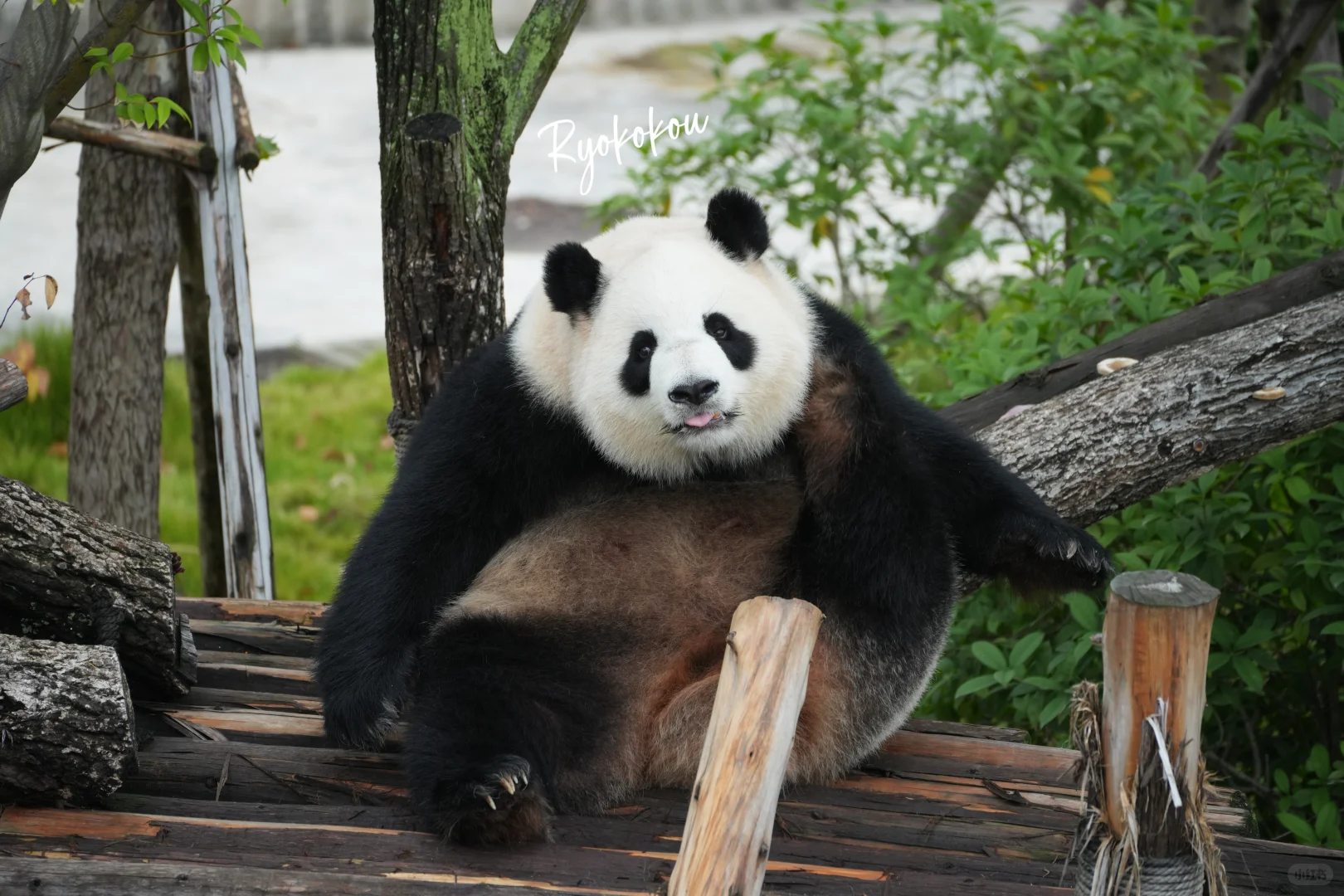 241021 淼淼 你好月巴美☺️