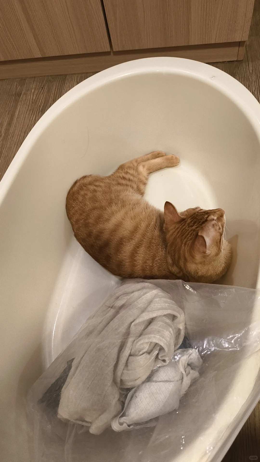 这睡姿，怕是个人🤣