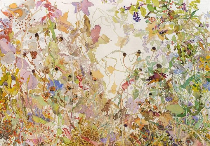 🎨✨微观草木里的生命诗学✨🎨