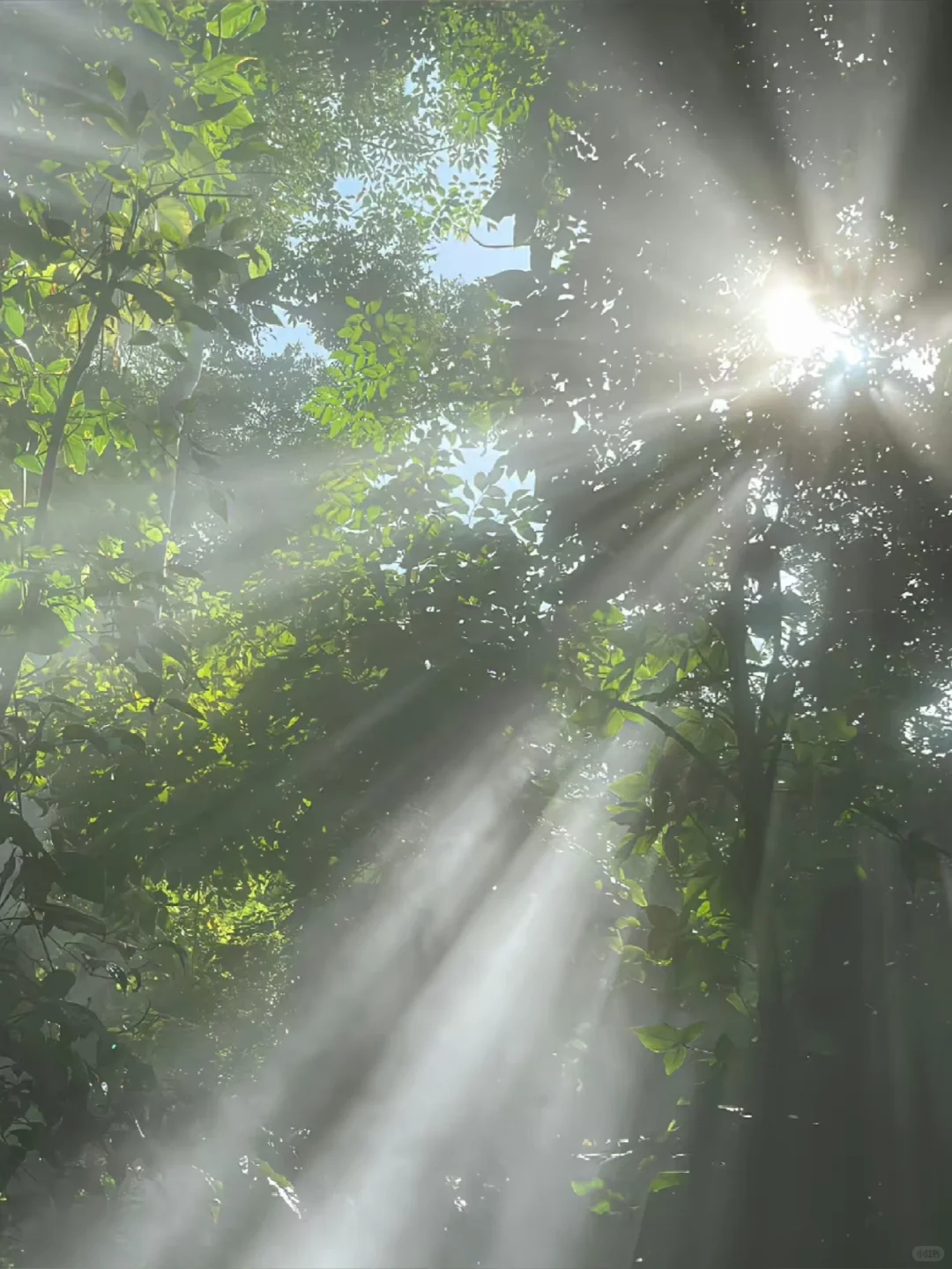 全国首家线上，顶奢连锁会所交流会