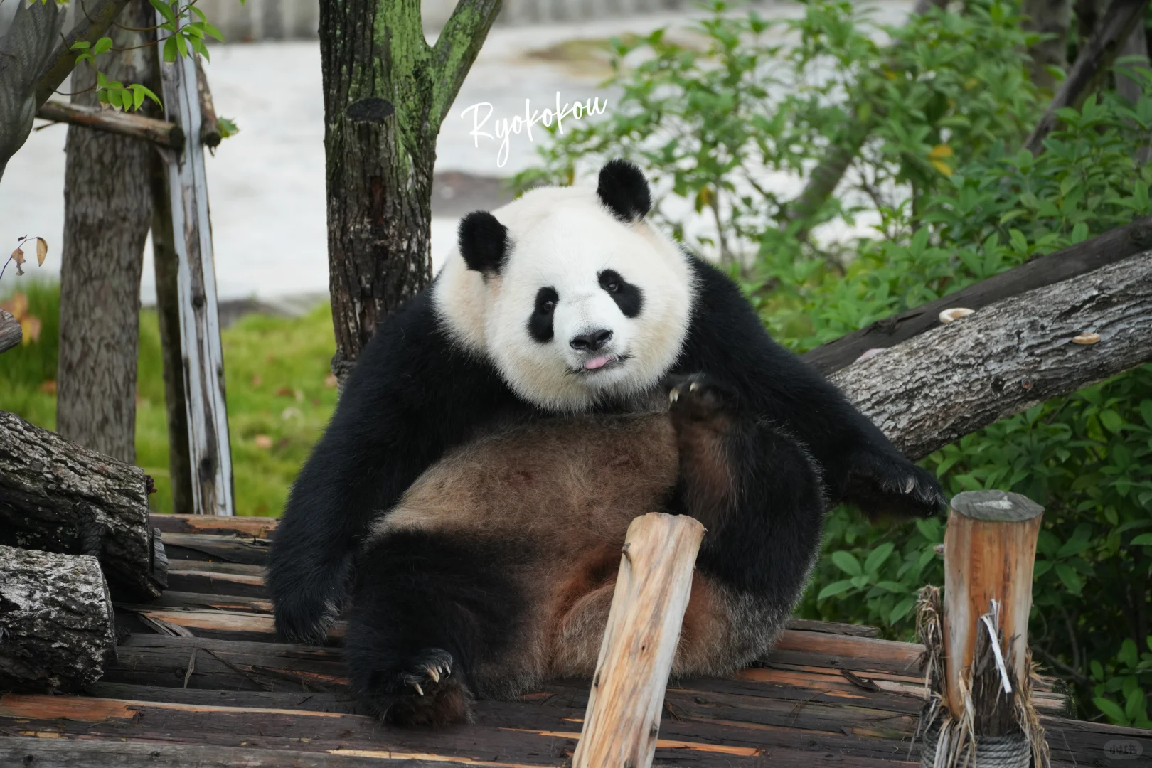 241021 淼淼 你好月巴美☺️