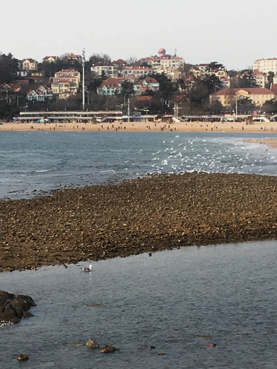 关于青岛的一些美好记忆