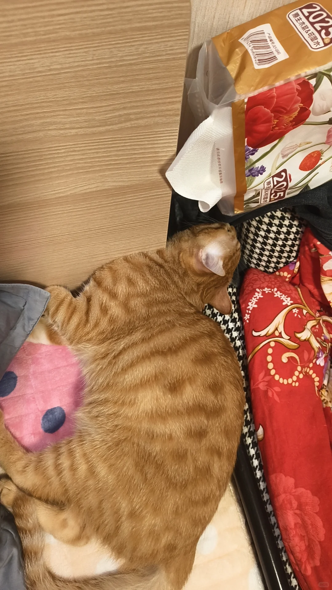 这睡姿，怕是个人🤣