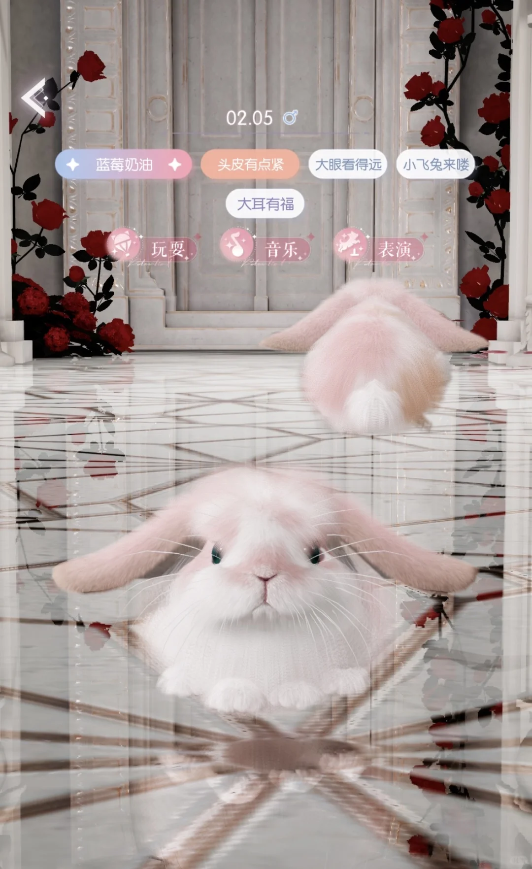 记录最近自配留下的崽