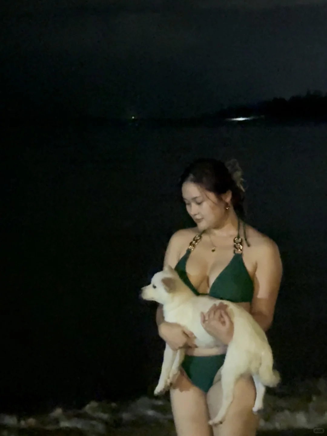 小狗与海我都喜欢🌊