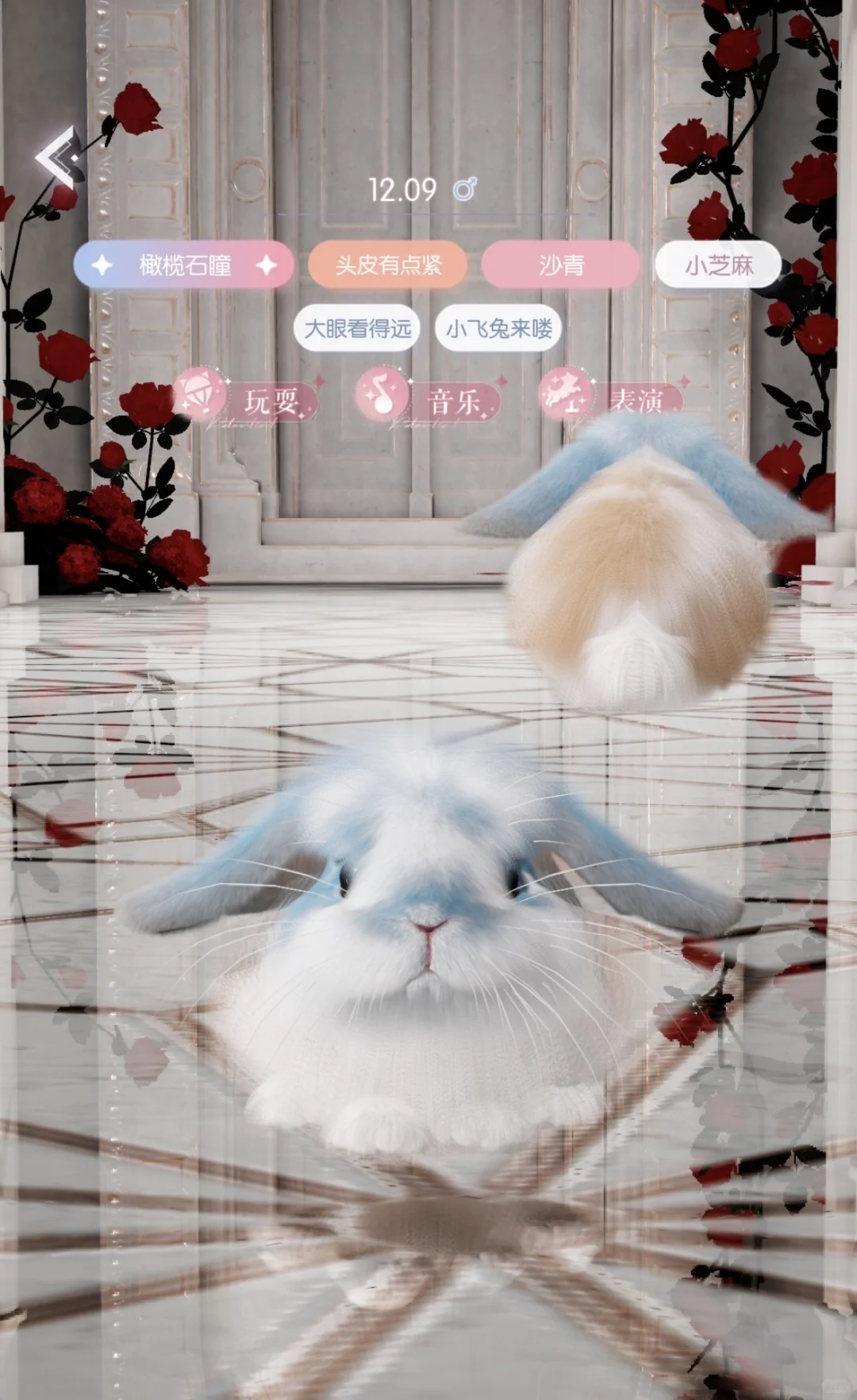 记录最近自配留下的崽