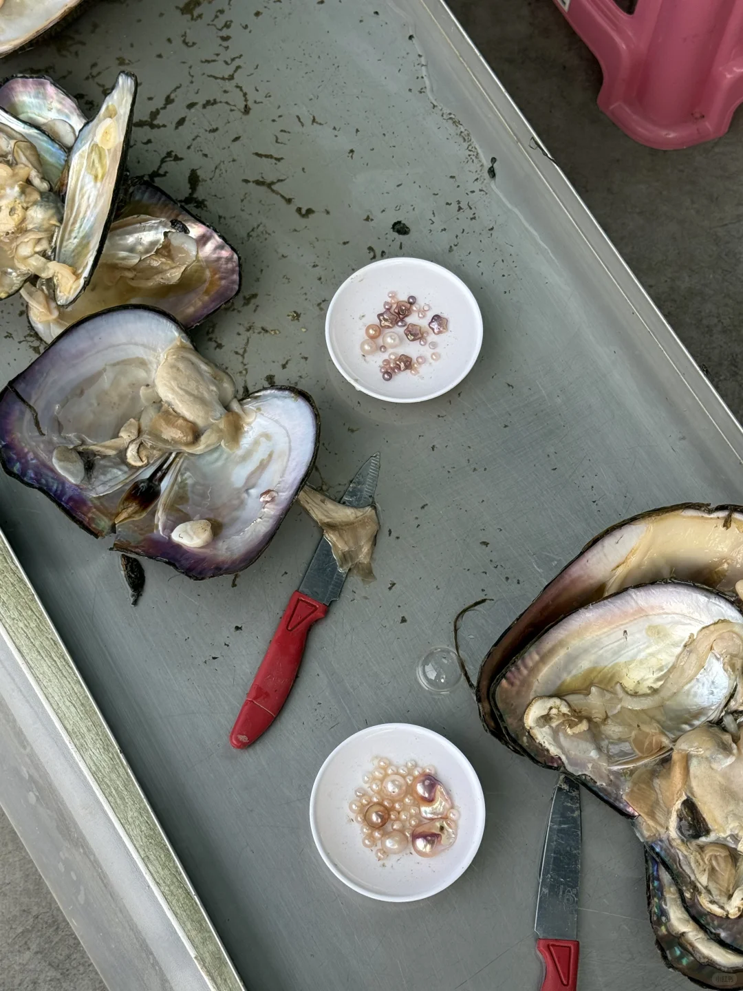 勇闯诸暨买珍珠