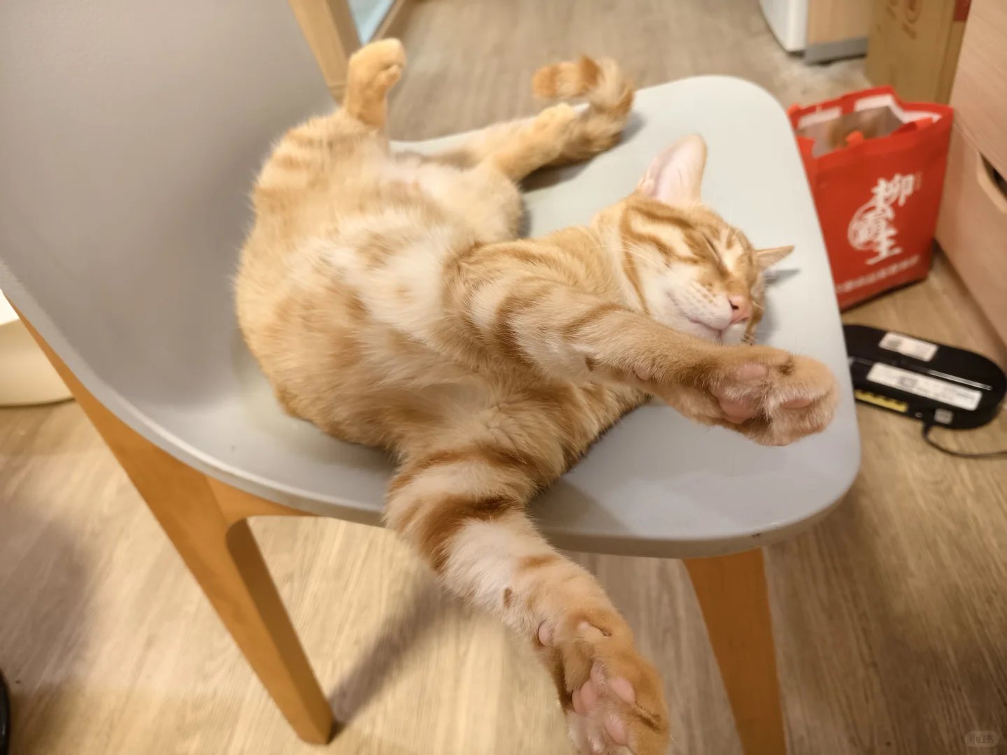 这睡姿，怕是个人🤣