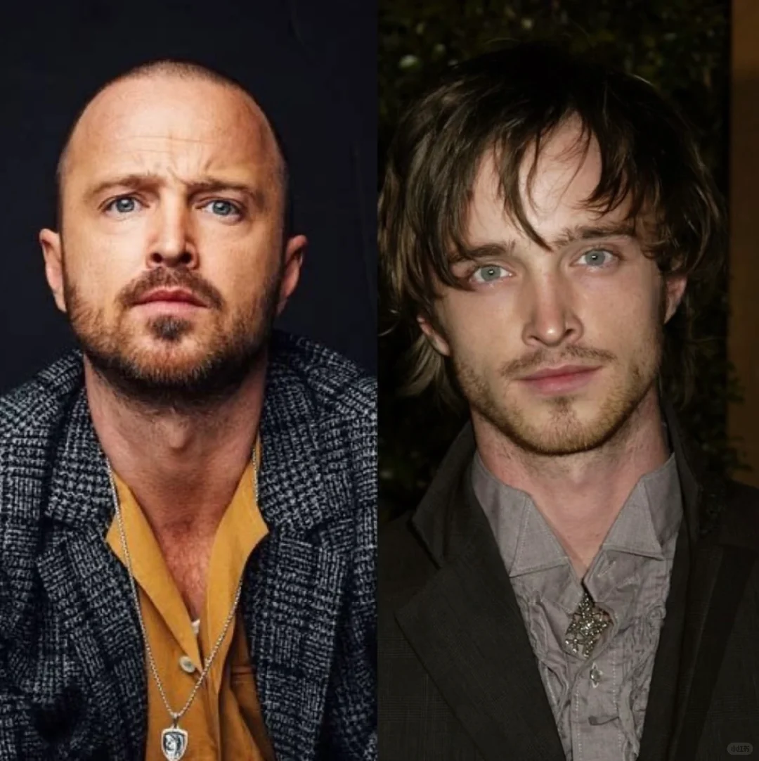 滑头我承认你有几分姿色