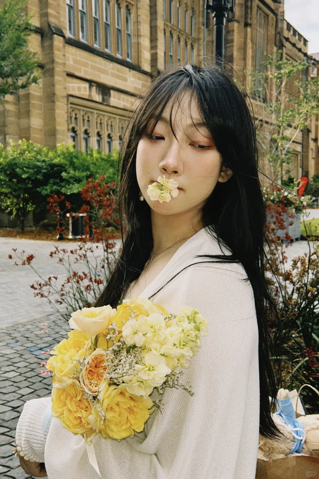 2025送出的一些审美在线的花