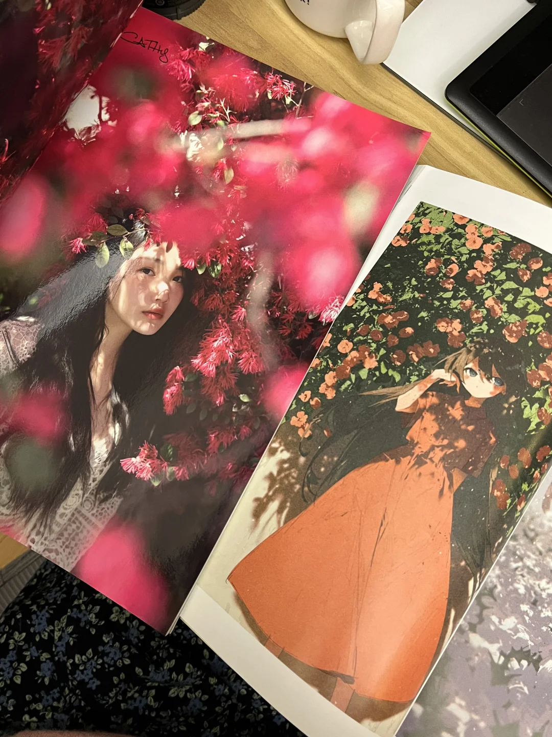 我的照片和我喜欢的画册！！！！