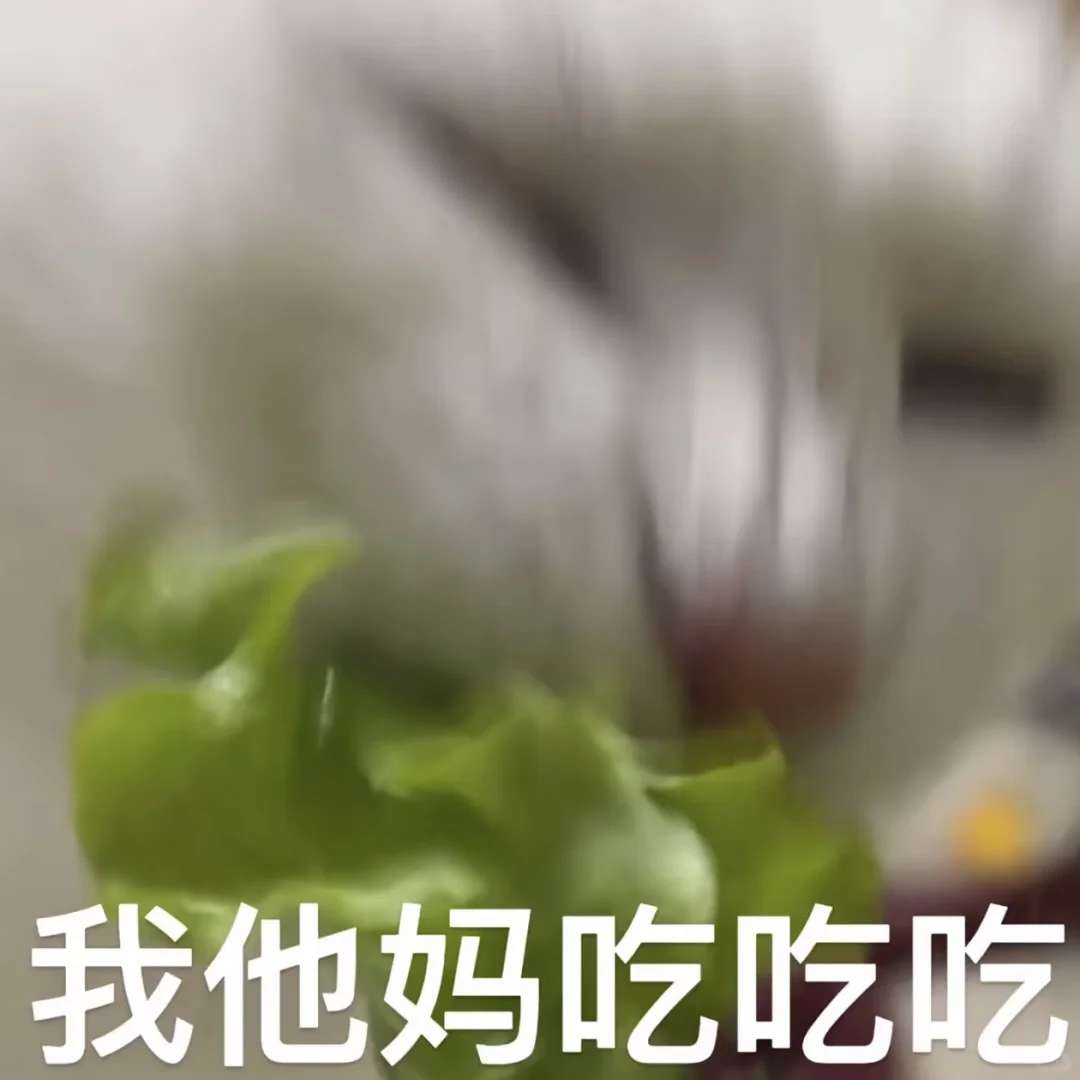 记录135斤瘦到100斤需要多少天(DAY 16)