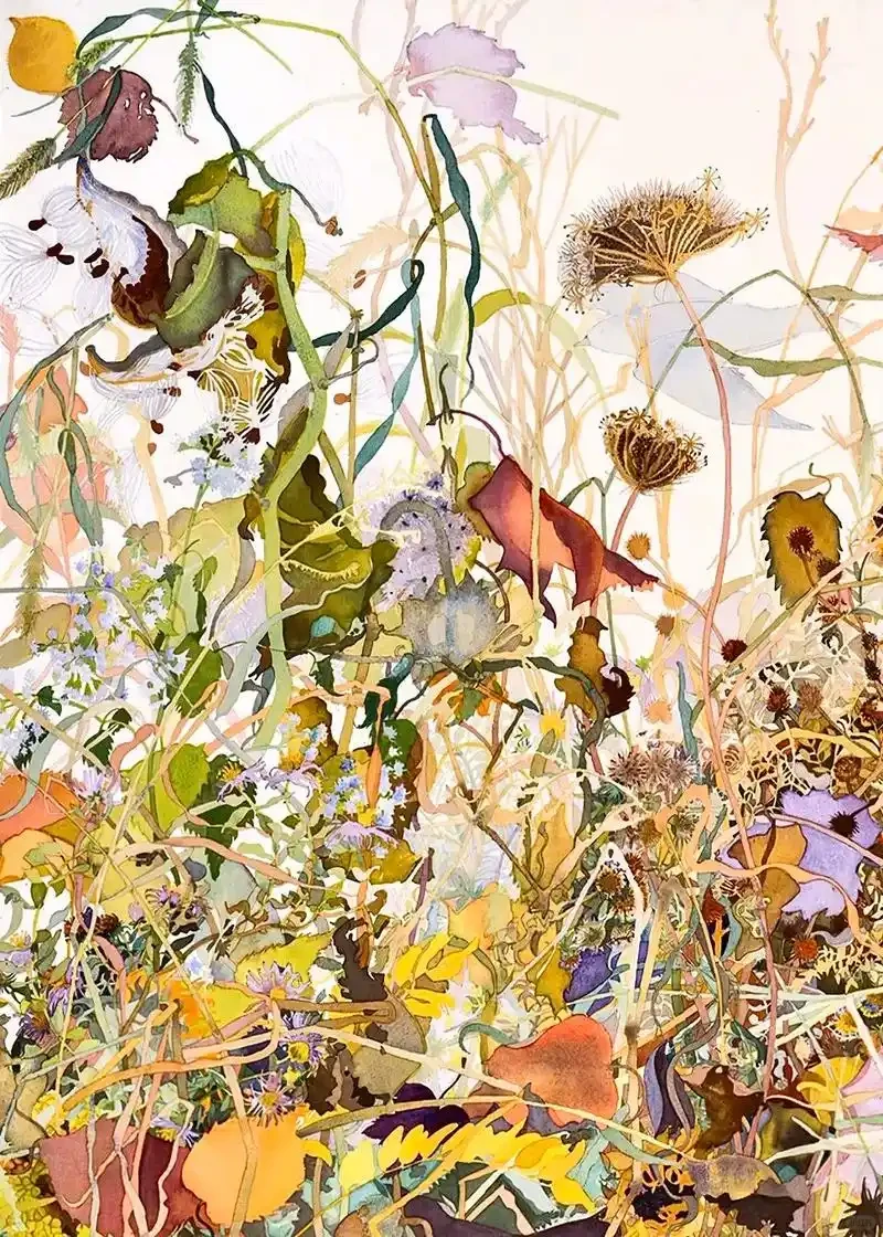 🎨✨微观草木里的生命诗学✨🎨