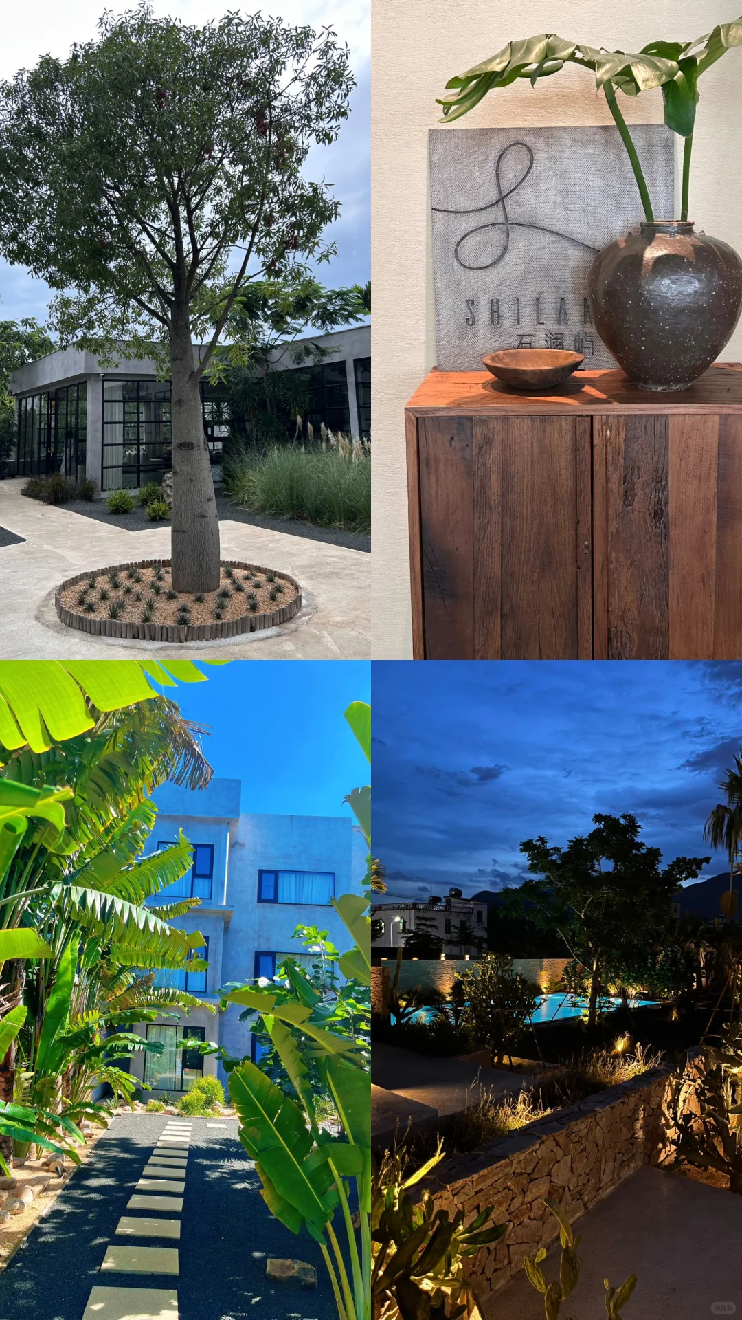 看看你在三亚拍过的美照！！！