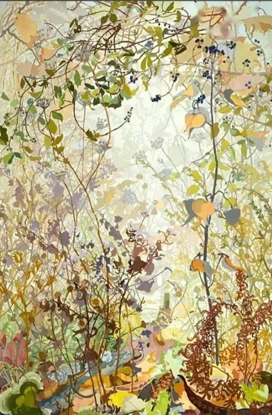 🎨✨微观草木里的生命诗学✨🎨