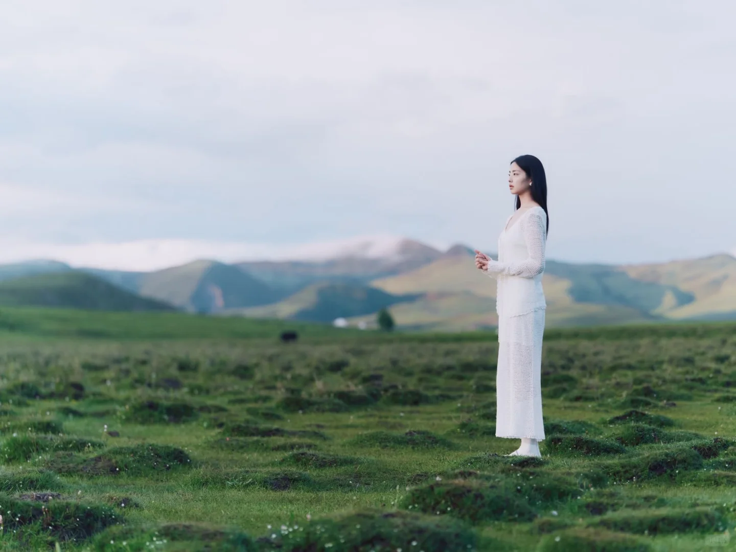 我家春春拍稀物集了！