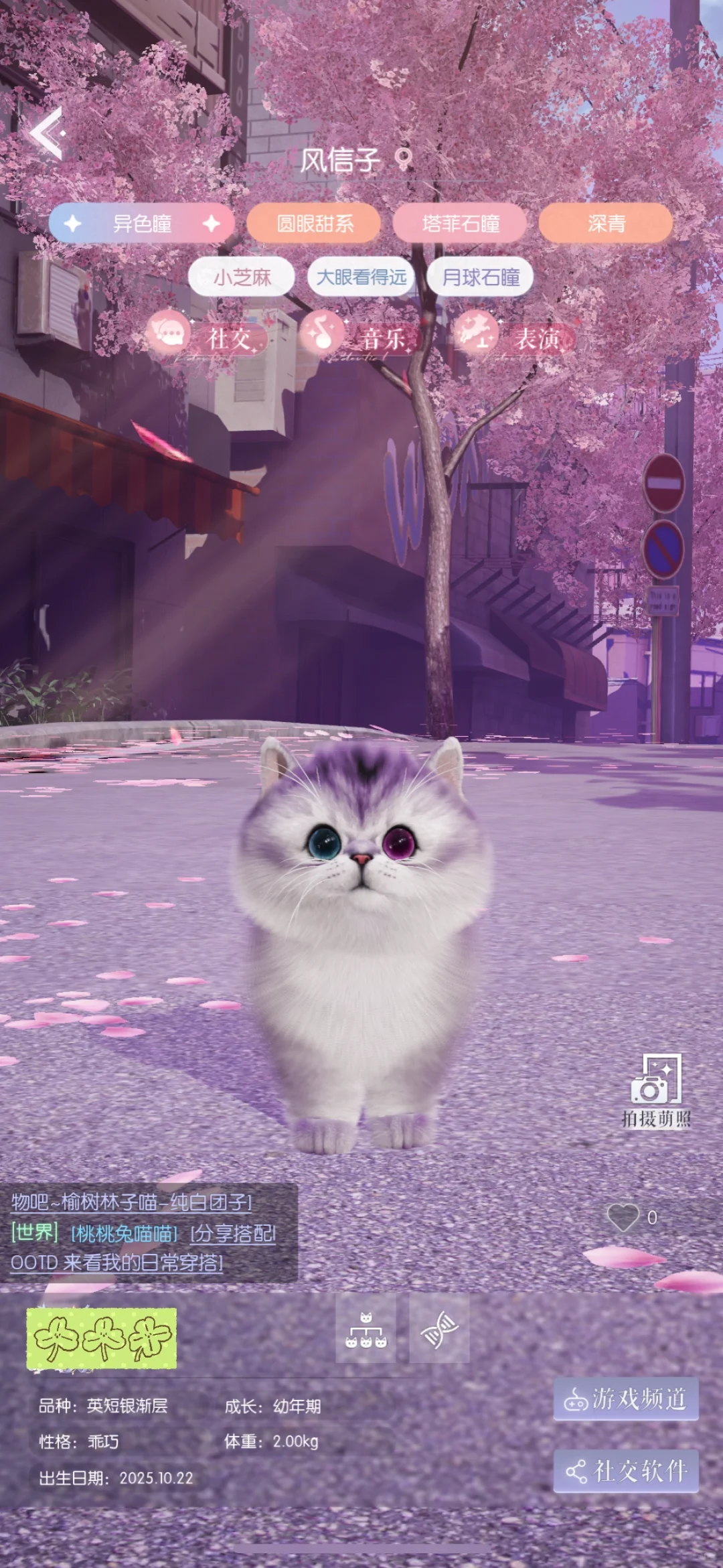 不经意露出超黑后背