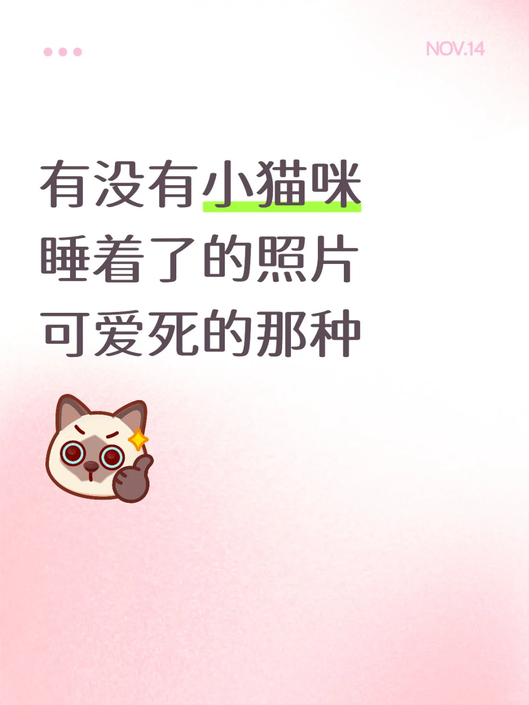 想看看小猫睡觉的照片！