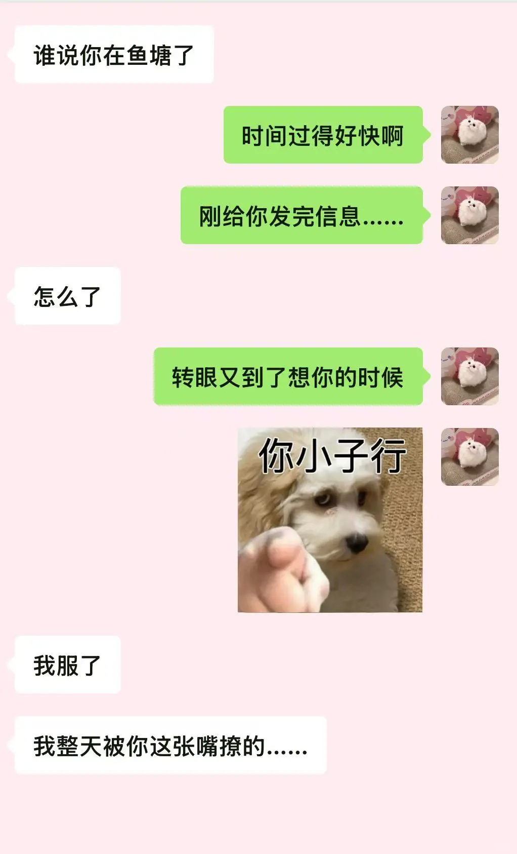 有梗女人追crush搞暧昧什么样…