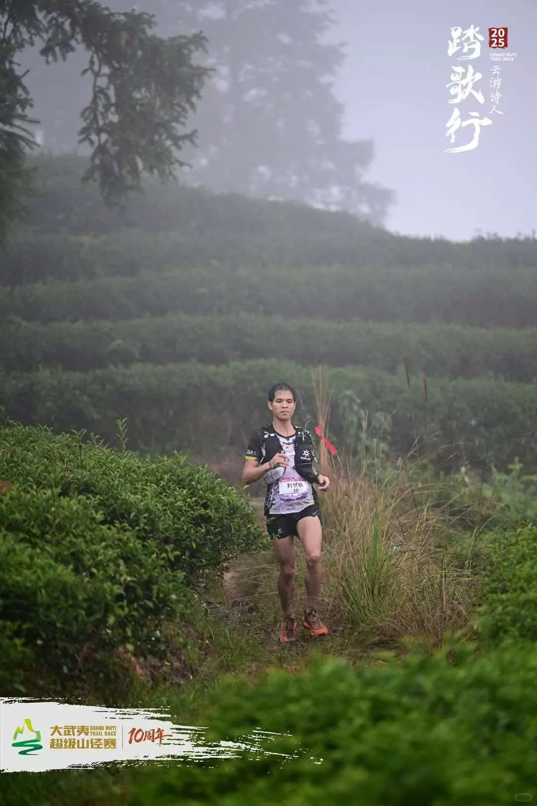 SunshineRun丨阳光战报大武夷超级山径赛